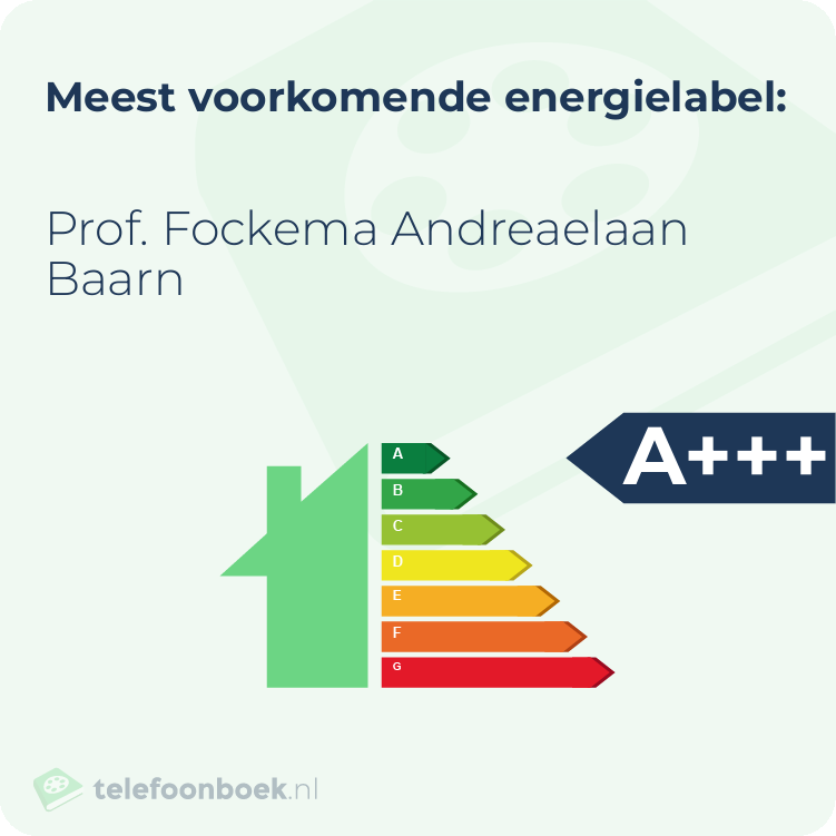 Energielabel Prof. Fockema Andreaelaan Baarn | Meest voorkomend