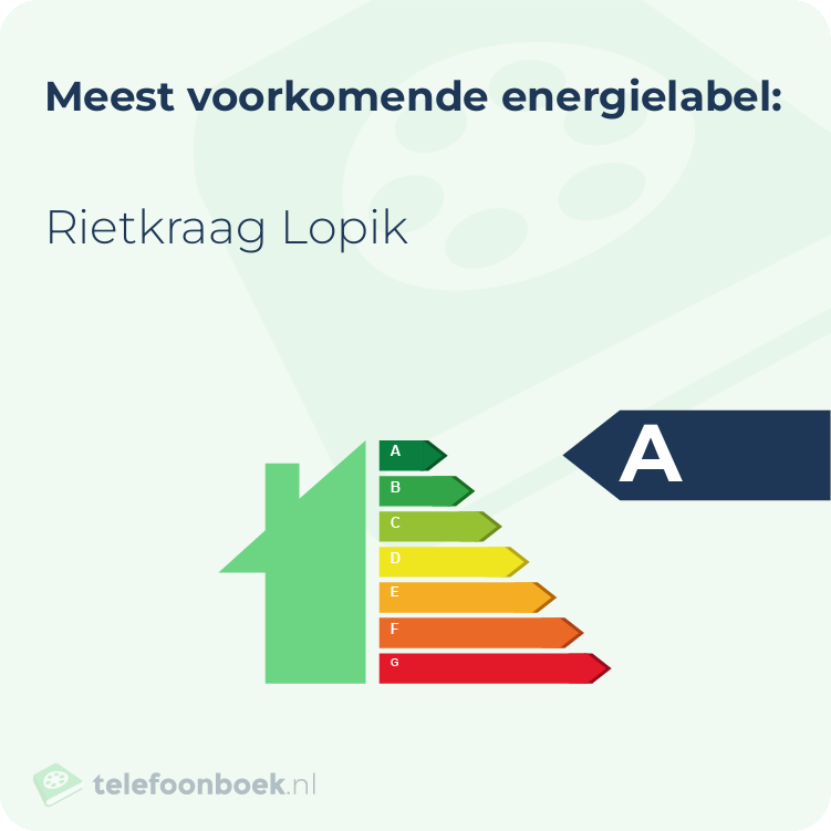 Energielabel Rietkraag Lopik | Meest voorkomend