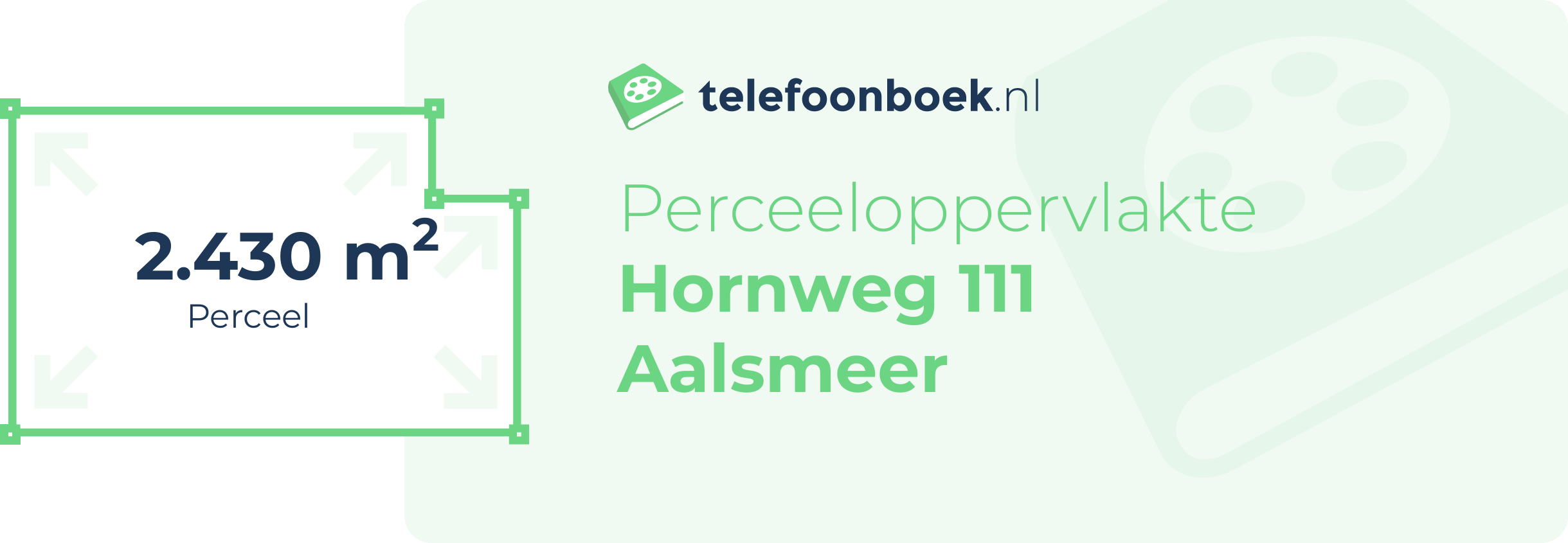 Perceeloppervlakte Hornweg 111 Aalsmeer