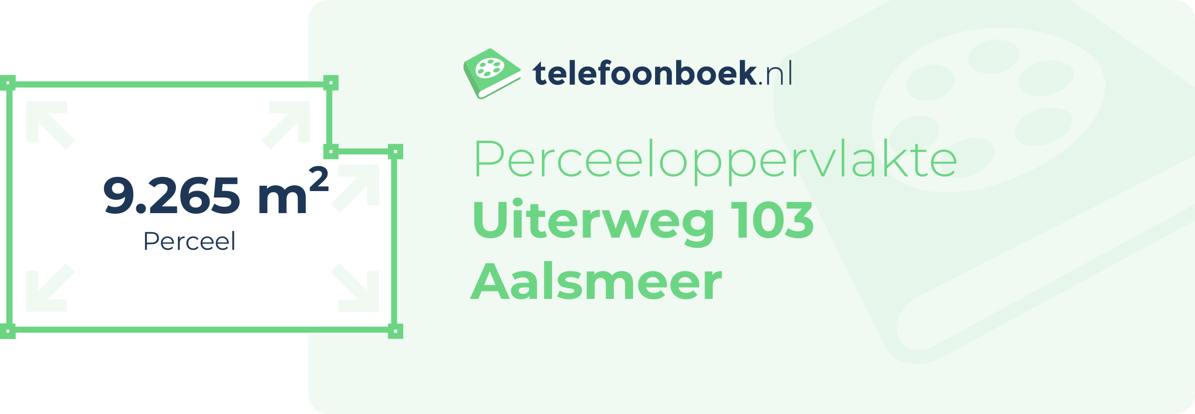 Perceeloppervlakte Uiterweg 103 Aalsmeer