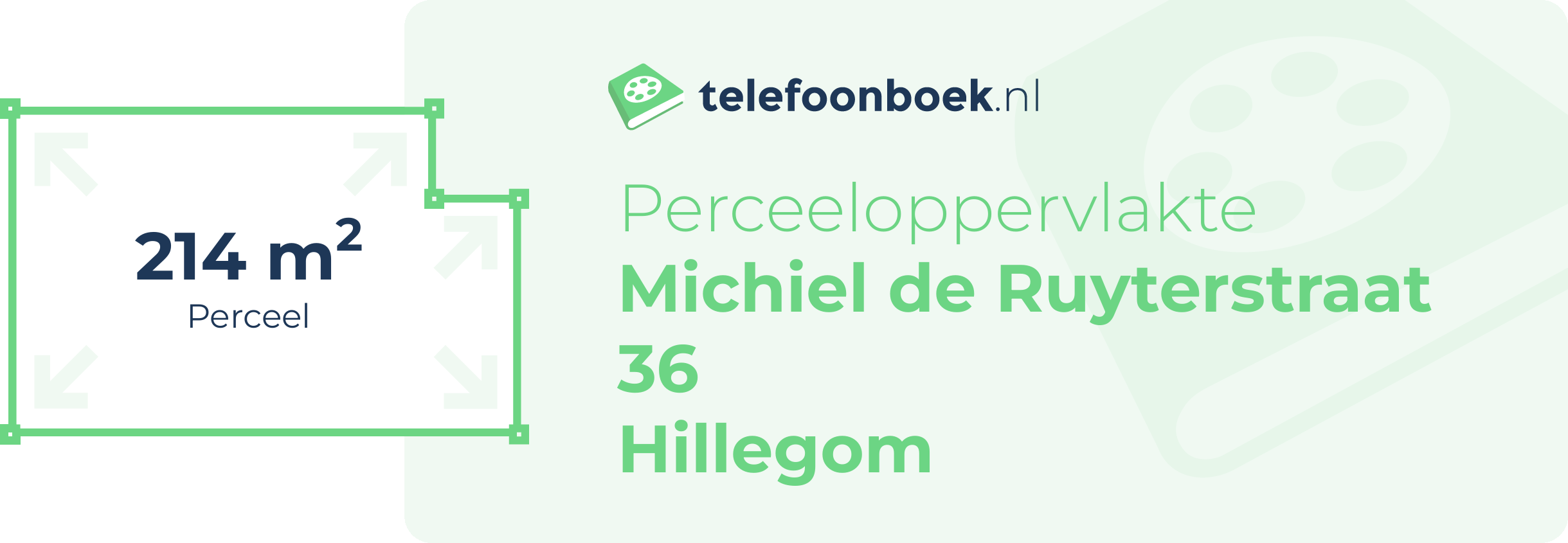 Perceeloppervlakte Michiel De Ruyterstraat 36 Hillegom