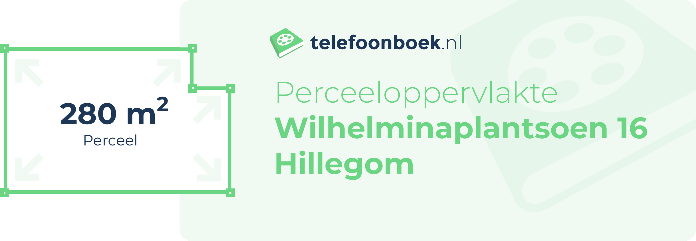 Perceeloppervlakte Wilhelminaplantsoen 16 Hillegom
