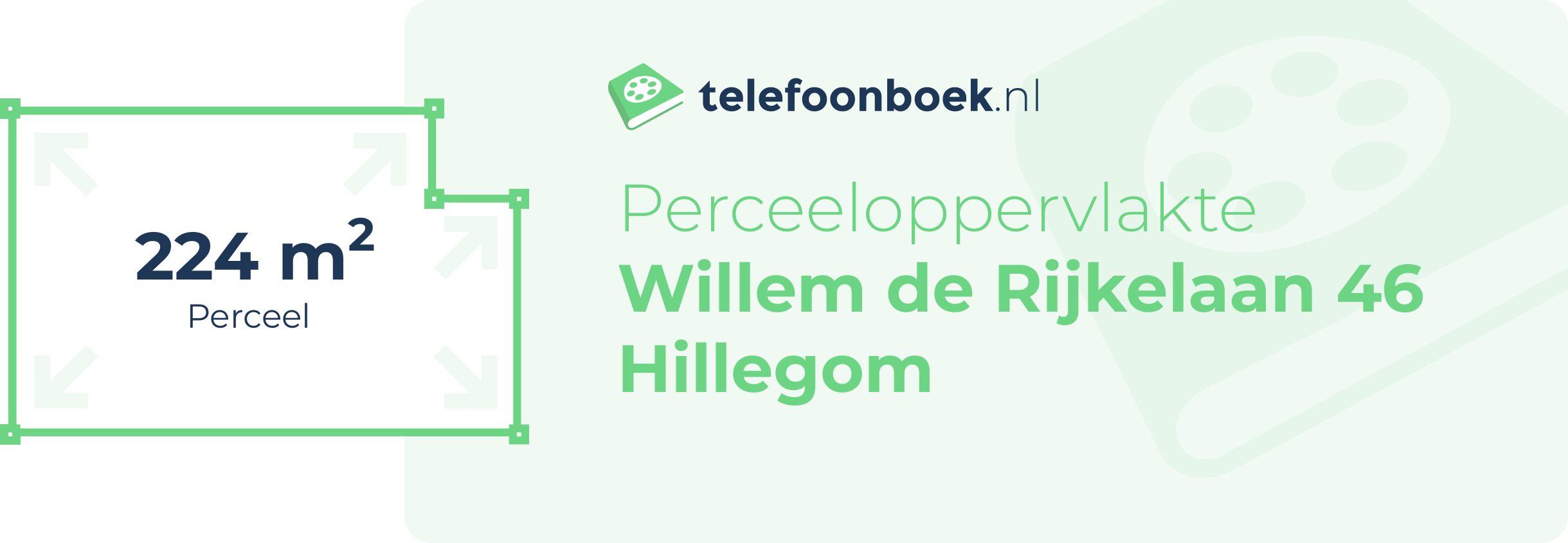 Perceeloppervlakte Willem De Rijkelaan 46 Hillegom