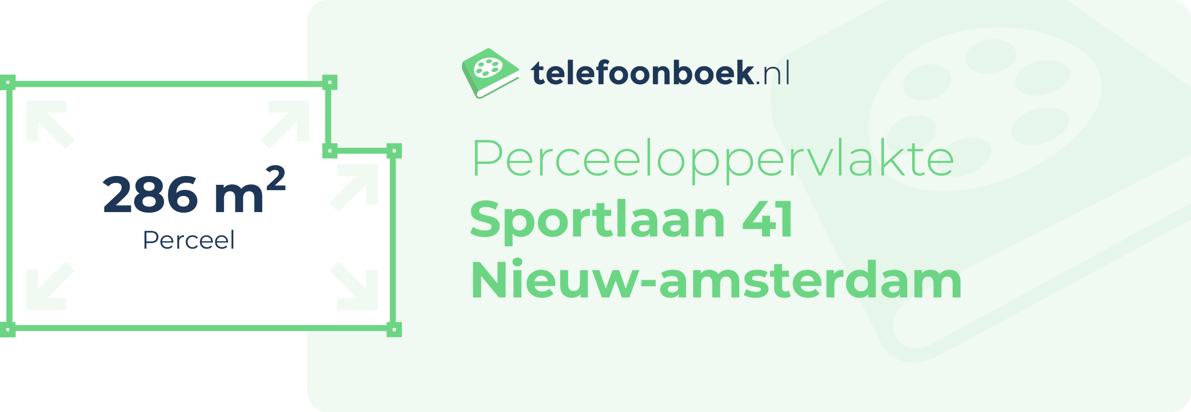 Perceeloppervlakte Sportlaan 41 Nieuw-Amsterdam