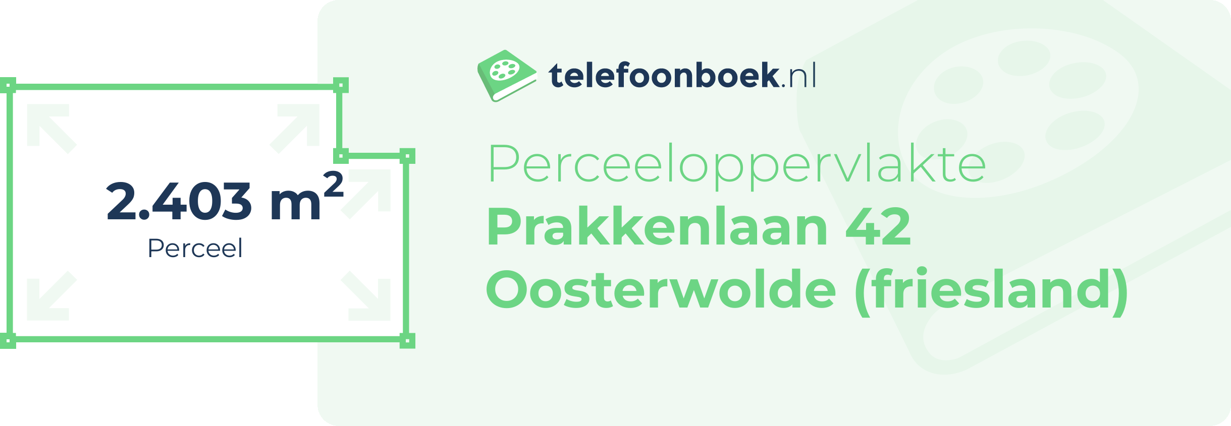 Perceeloppervlakte Prakkenlaan 42 Oosterwolde (Friesland)