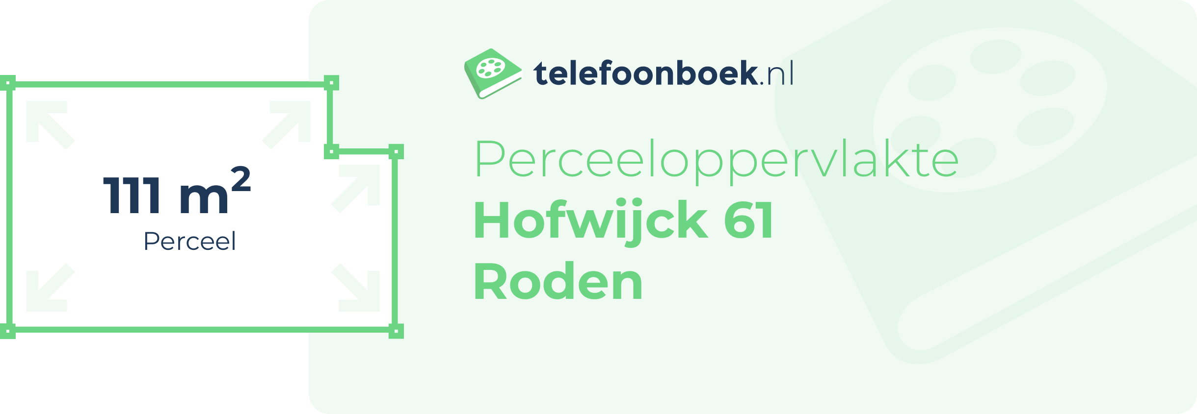Perceeloppervlakte Hofwijck 61 Roden