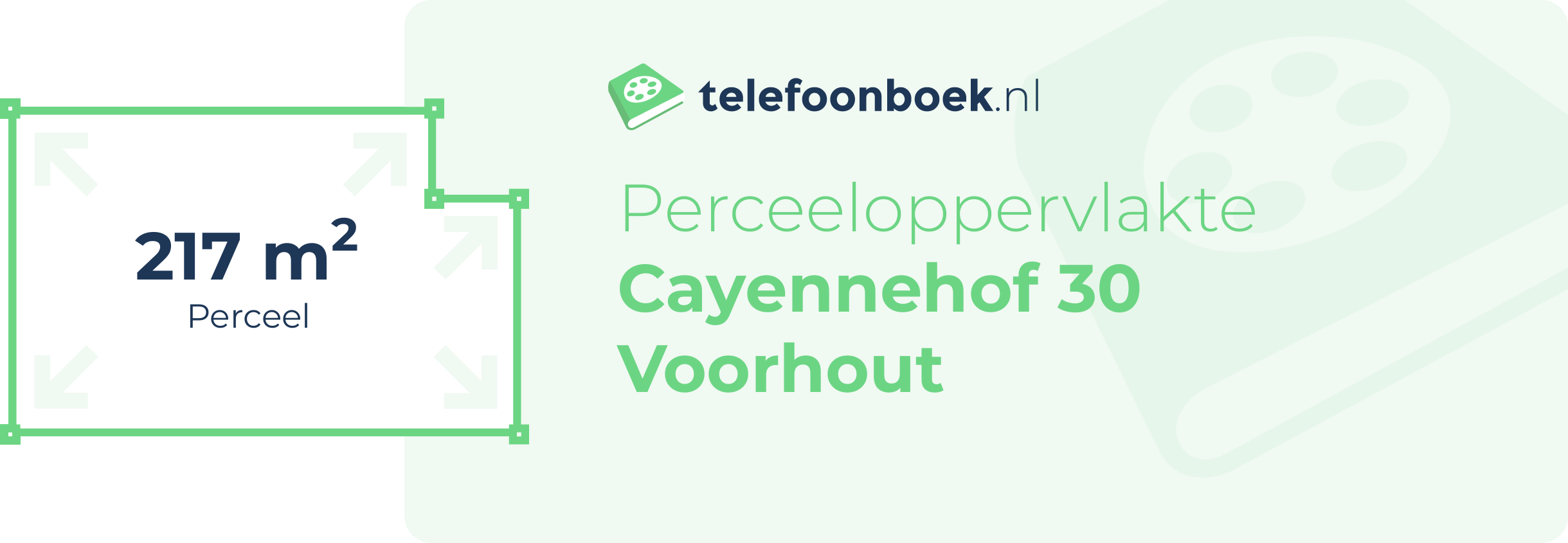 Perceeloppervlakte Cayennehof 30 Voorhout