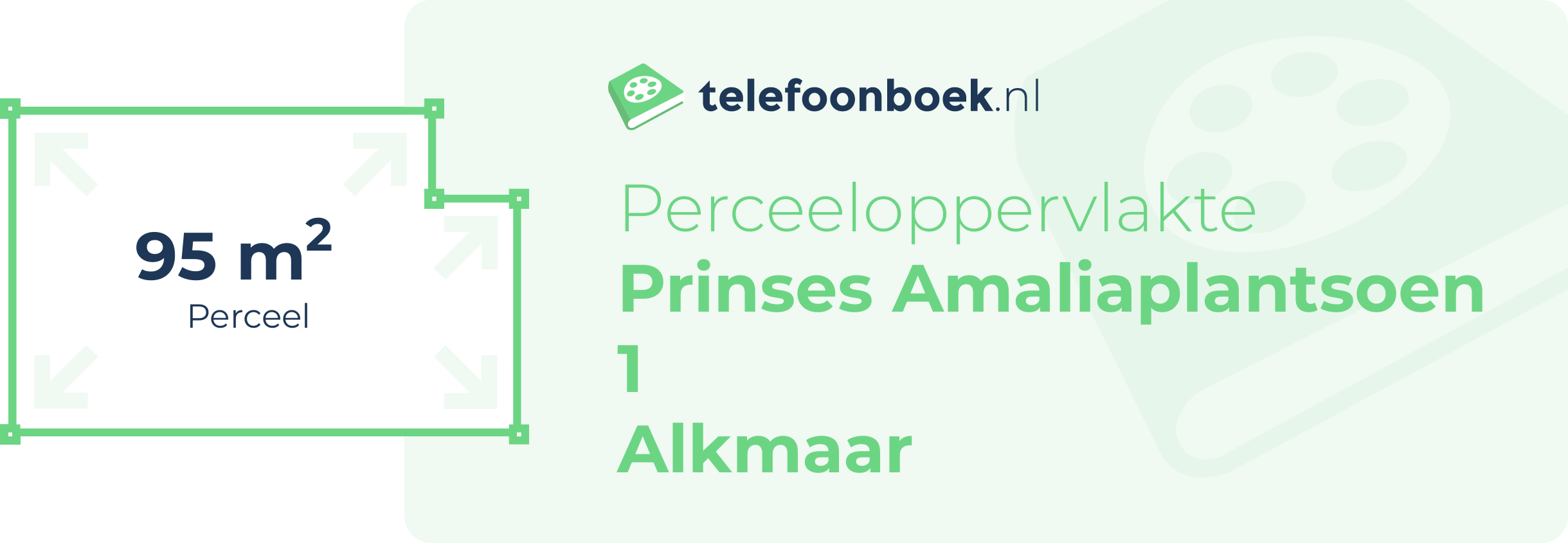 Perceeloppervlakte Prinses Amaliaplantsoen 1 Alkmaar
