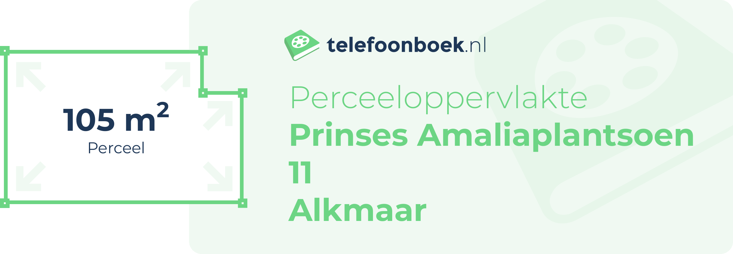 Perceeloppervlakte Prinses Amaliaplantsoen 11 Alkmaar