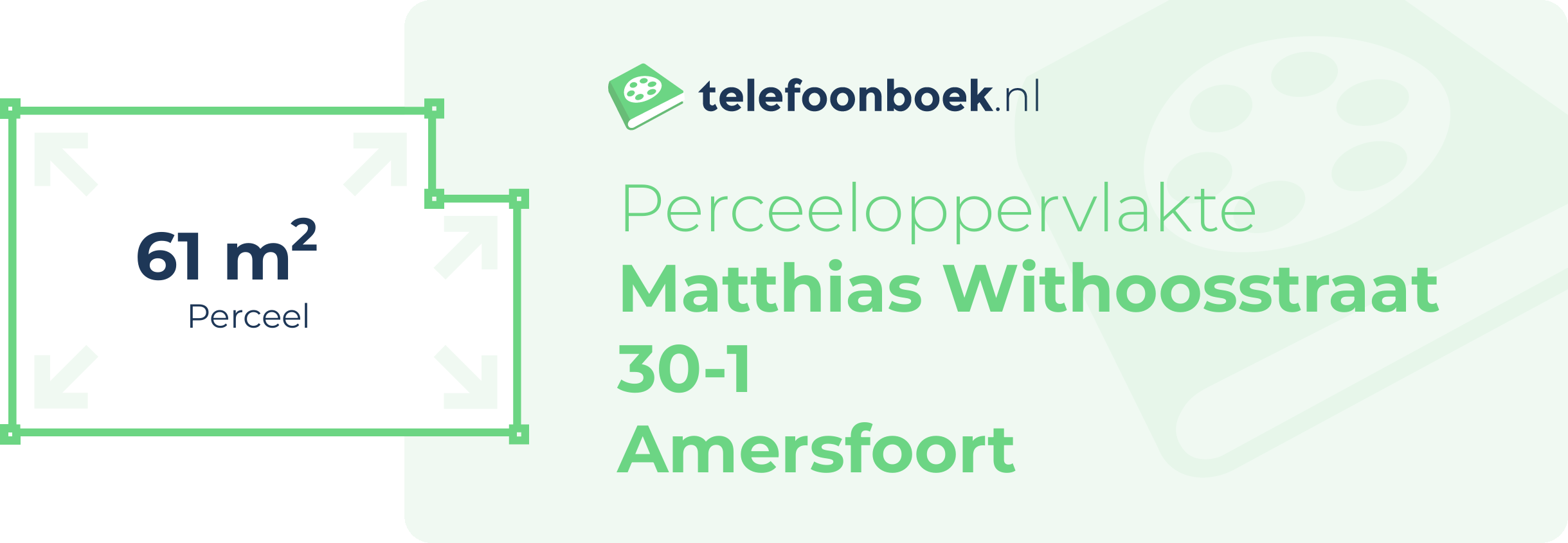 Perceeloppervlakte Matthias Withoosstraat 30-1 Amersfoort