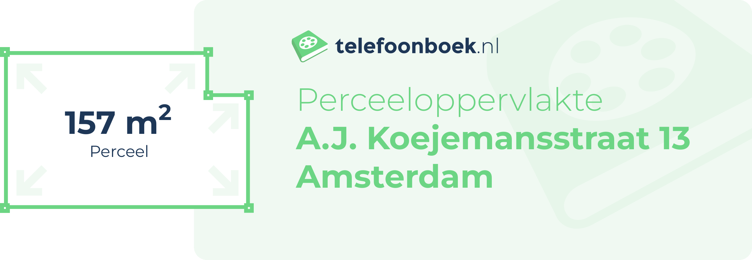 Perceeloppervlakte A.J. Koejemansstraat 13 Amsterdam