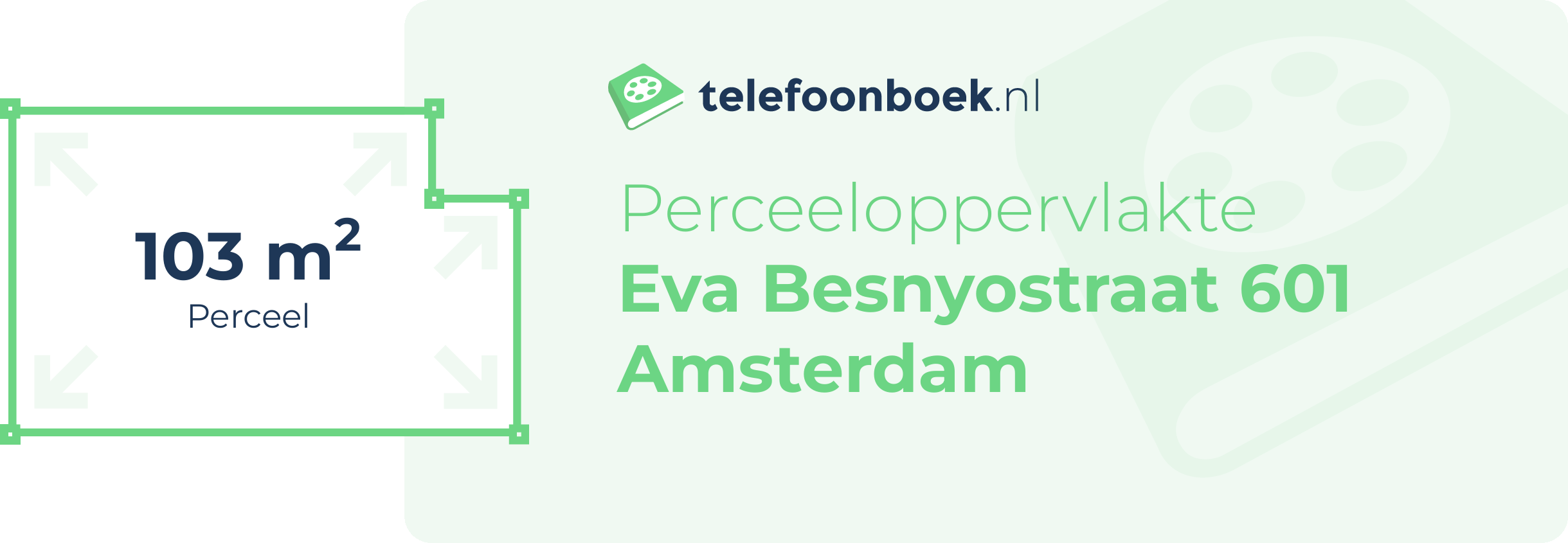 Perceeloppervlakte Eva Besnyostraat 601 Amsterdam