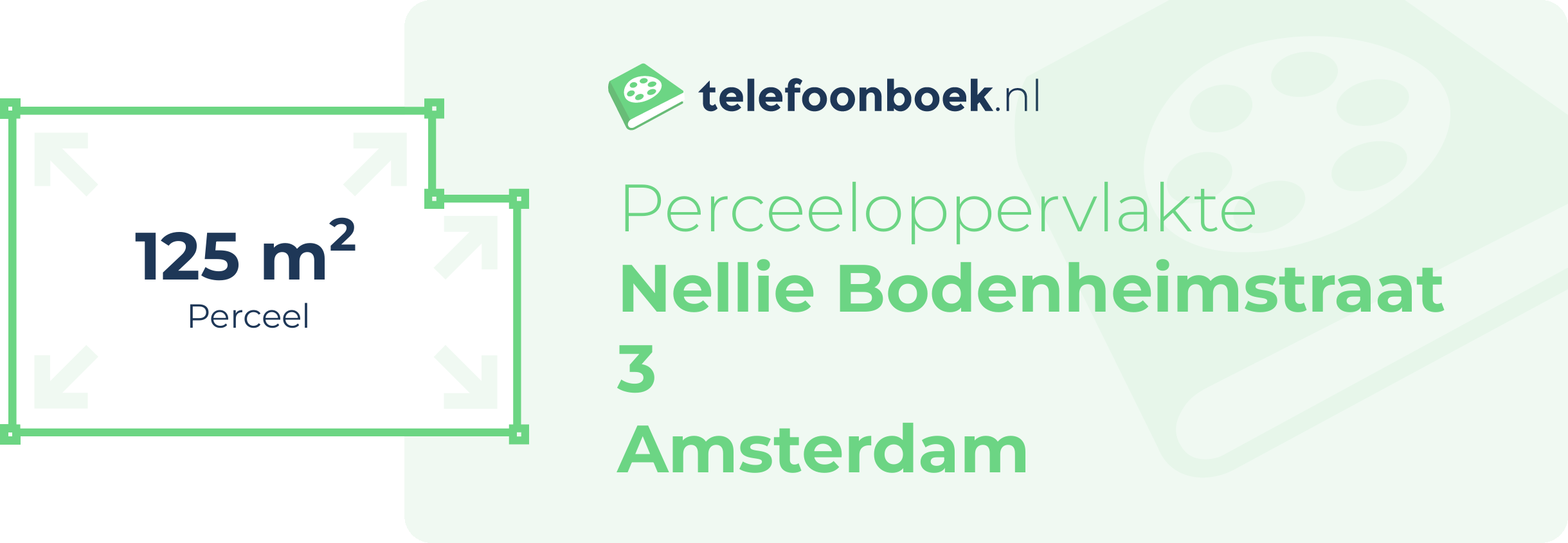 Perceeloppervlakte Nellie Bodenheimstraat 3 Amsterdam