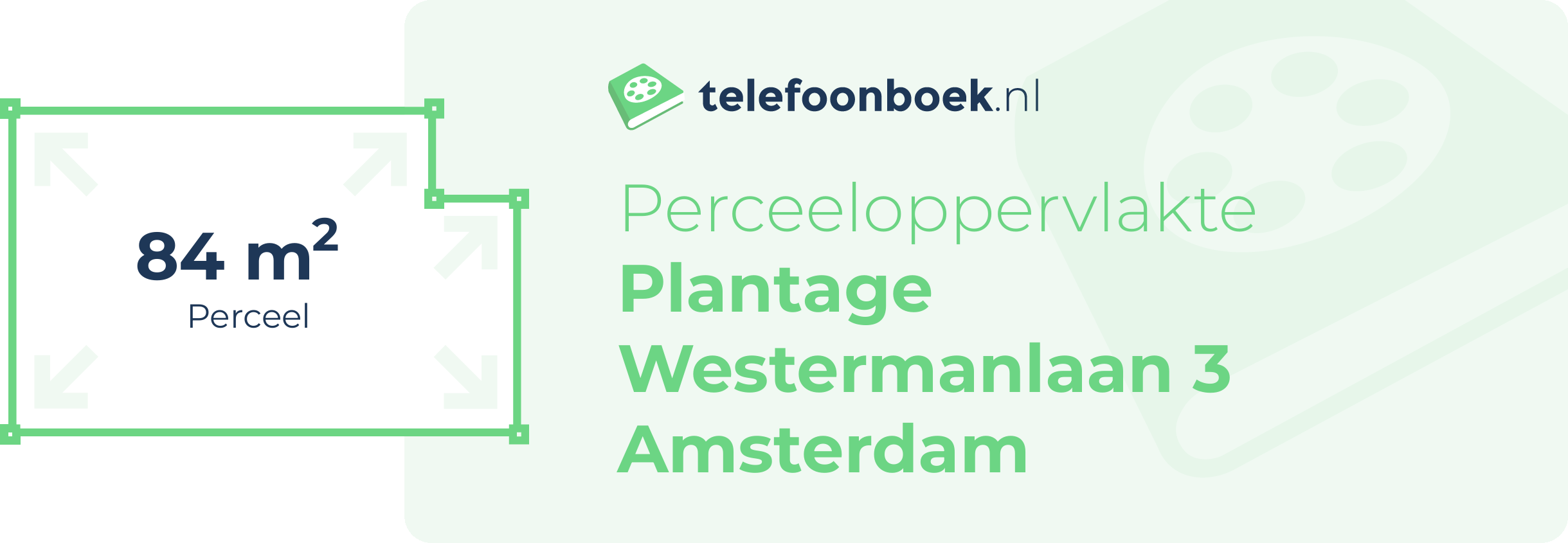 Perceeloppervlakte Plantage Westermanlaan 3 Amsterdam