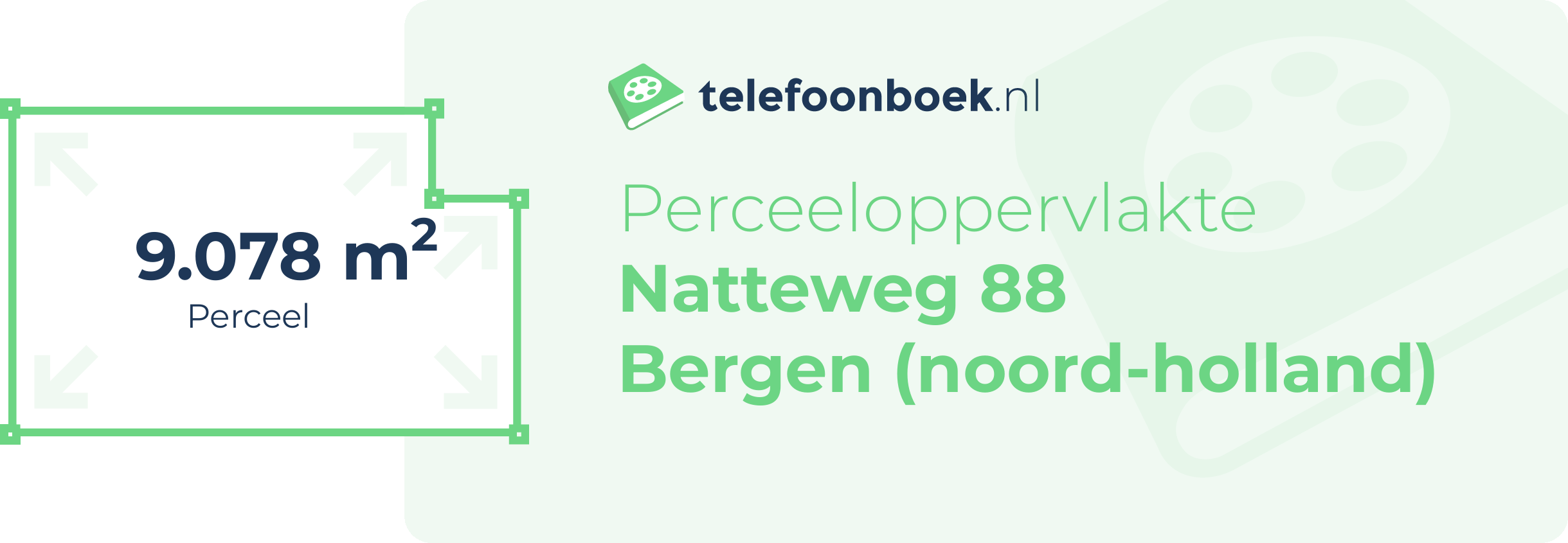 Perceeloppervlakte Natteweg 88 Bergen (Noord-Holland)