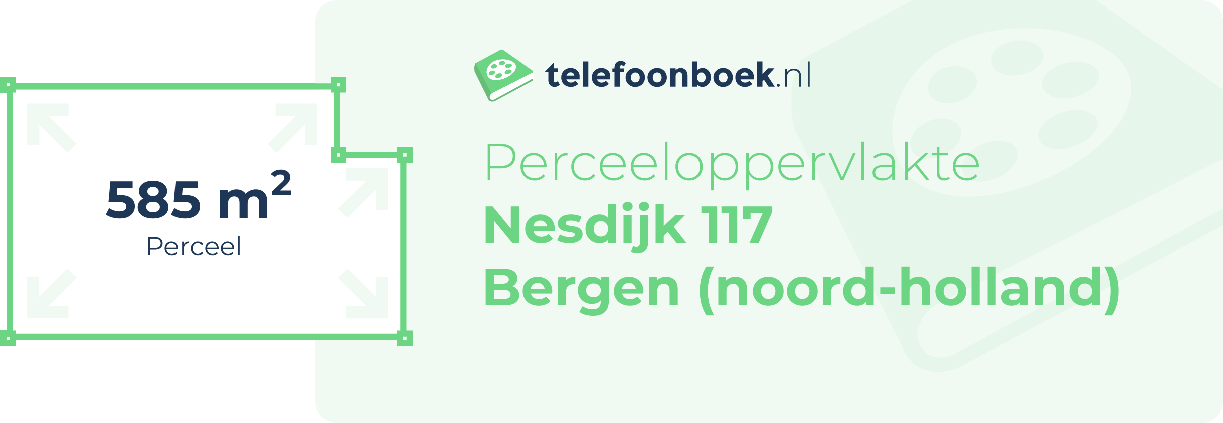 Perceeloppervlakte Nesdijk 117 Bergen (Noord-Holland)