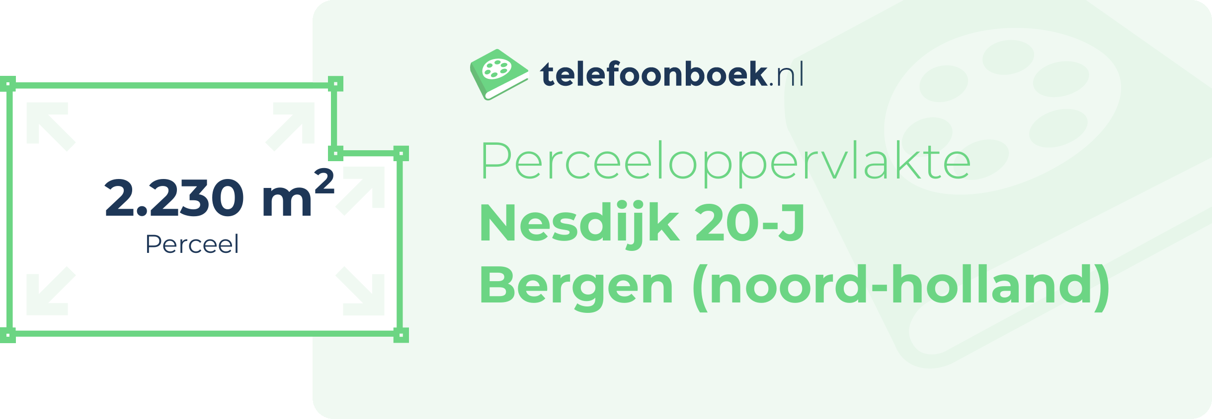 Perceeloppervlakte Nesdijk 20-J Bergen (Noord-Holland)