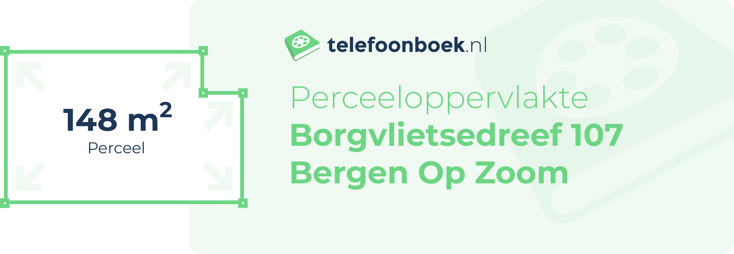 Perceeloppervlakte Borgvlietsedreef 107 Bergen Op Zoom