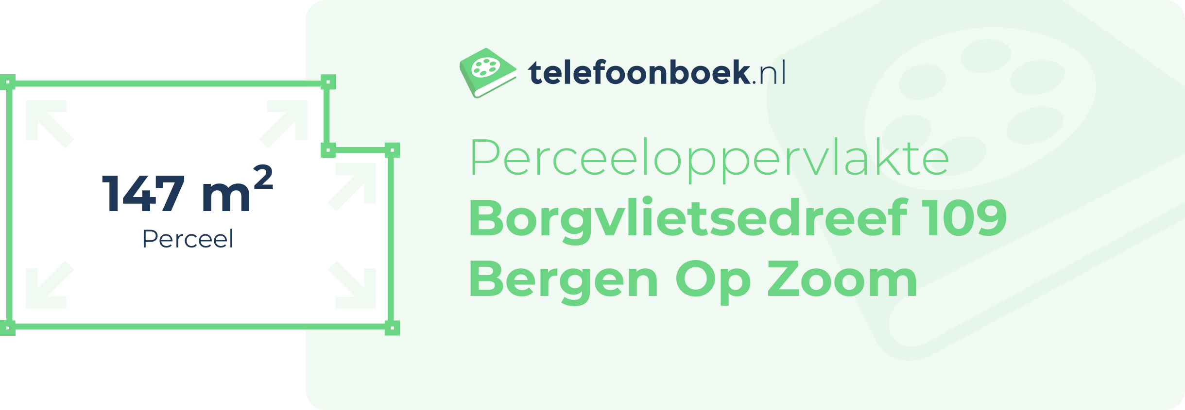 Perceeloppervlakte Borgvlietsedreef 109 Bergen Op Zoom