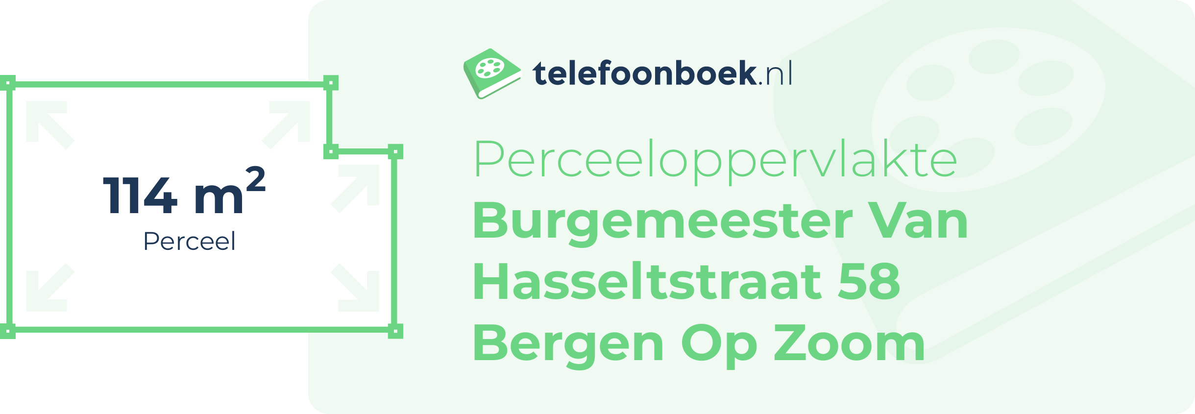 Perceeloppervlakte Burgemeester Van Hasseltstraat 58 Bergen Op Zoom