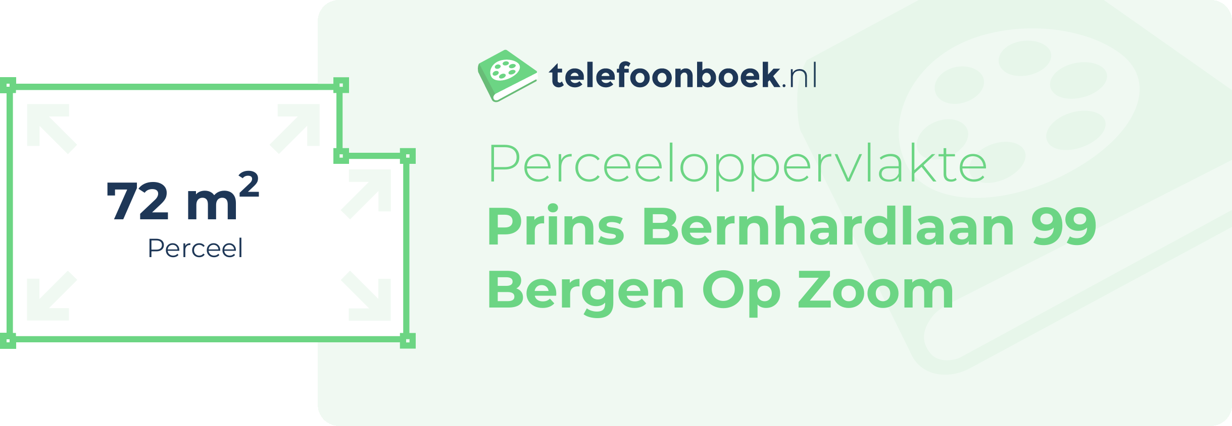 Perceeloppervlakte Prins Bernhardlaan 99 Bergen Op Zoom