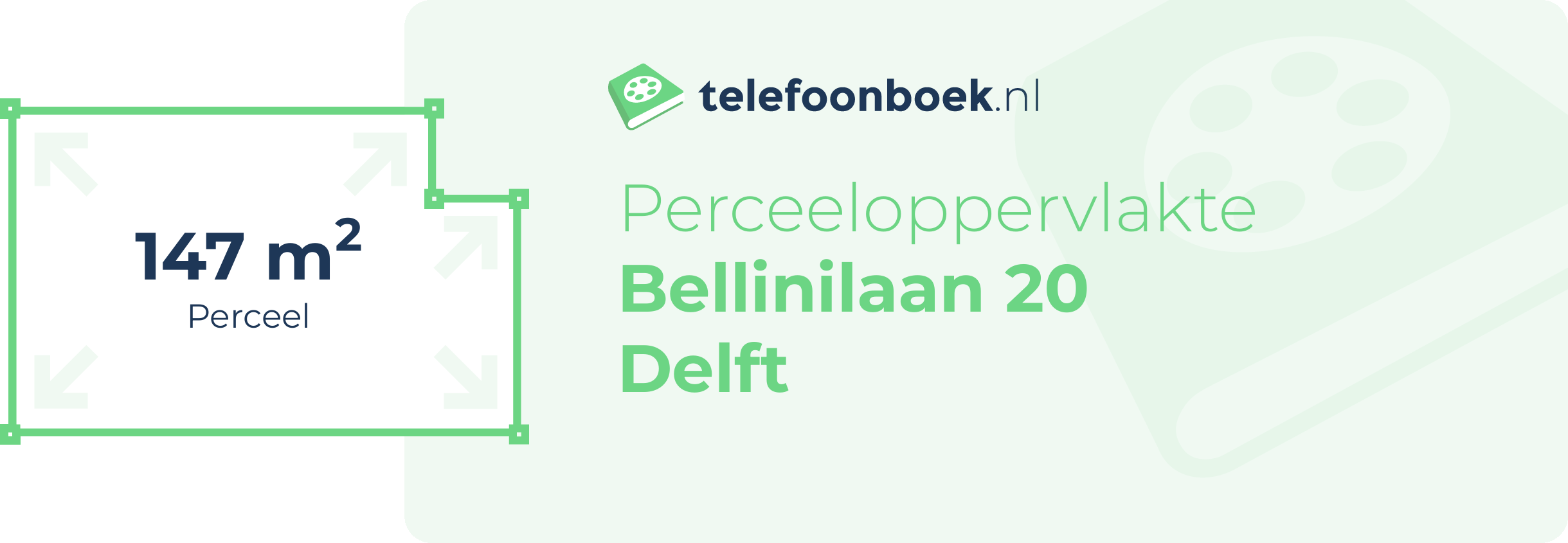 Perceeloppervlakte Bellinilaan 20 Delft