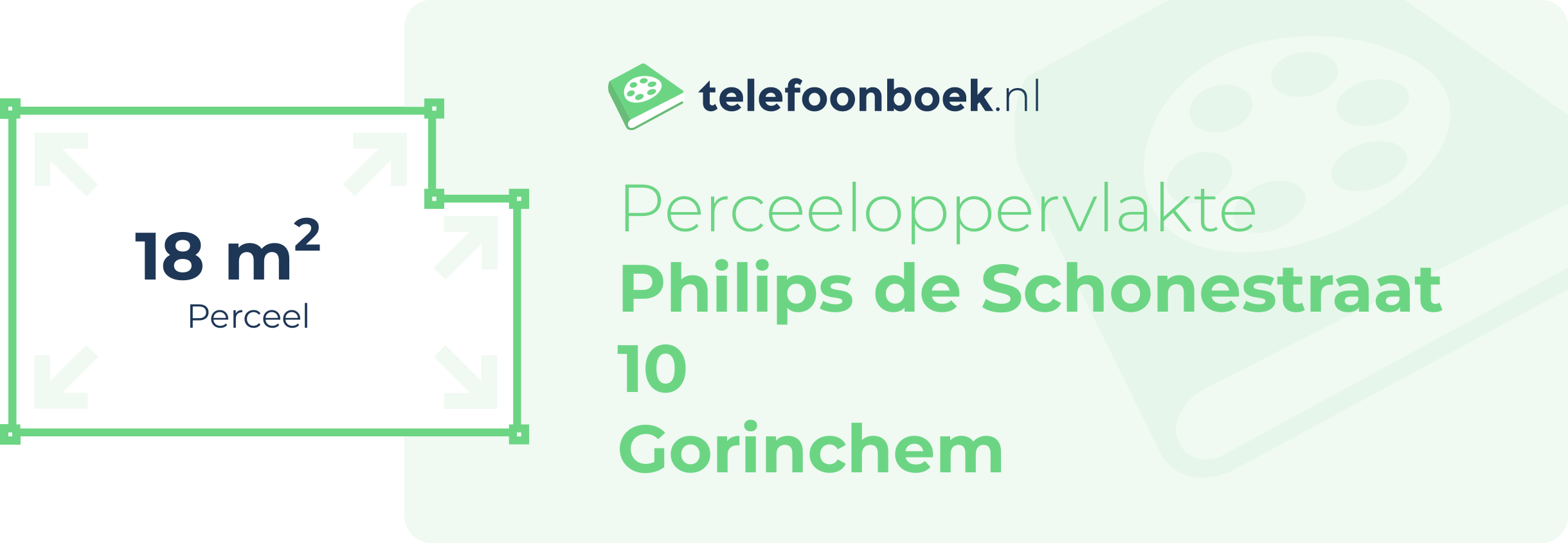 Perceeloppervlakte Philips De Schonestraat 10 Gorinchem