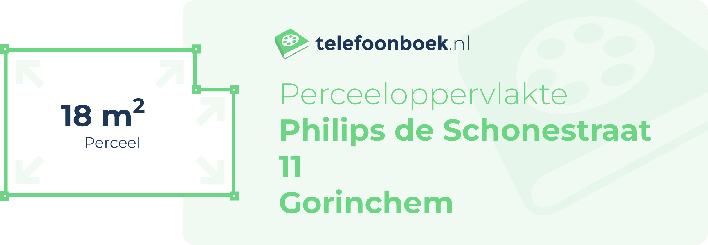 Perceeloppervlakte Philips De Schonestraat 11 Gorinchem