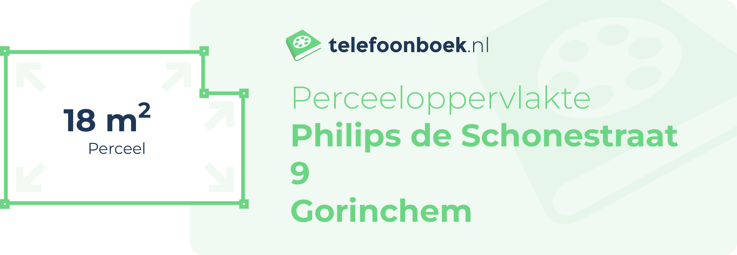 Perceeloppervlakte Philips De Schonestraat 9 Gorinchem