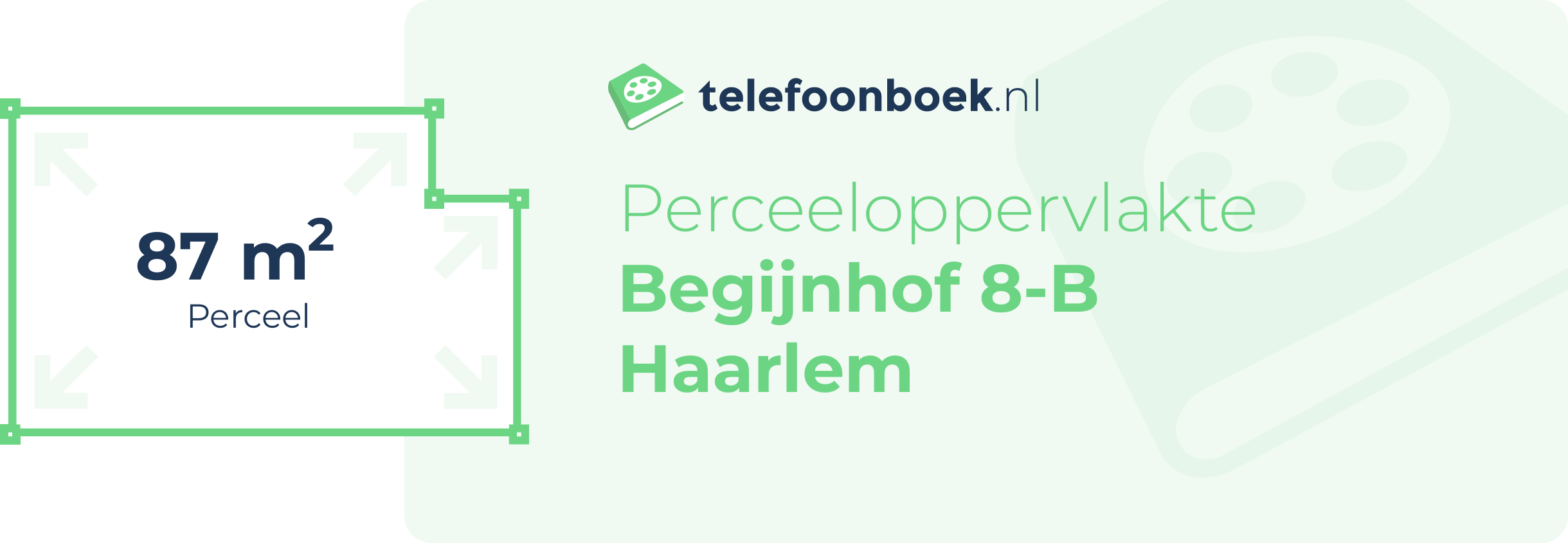 Perceeloppervlakte Begijnhof 8-B Haarlem