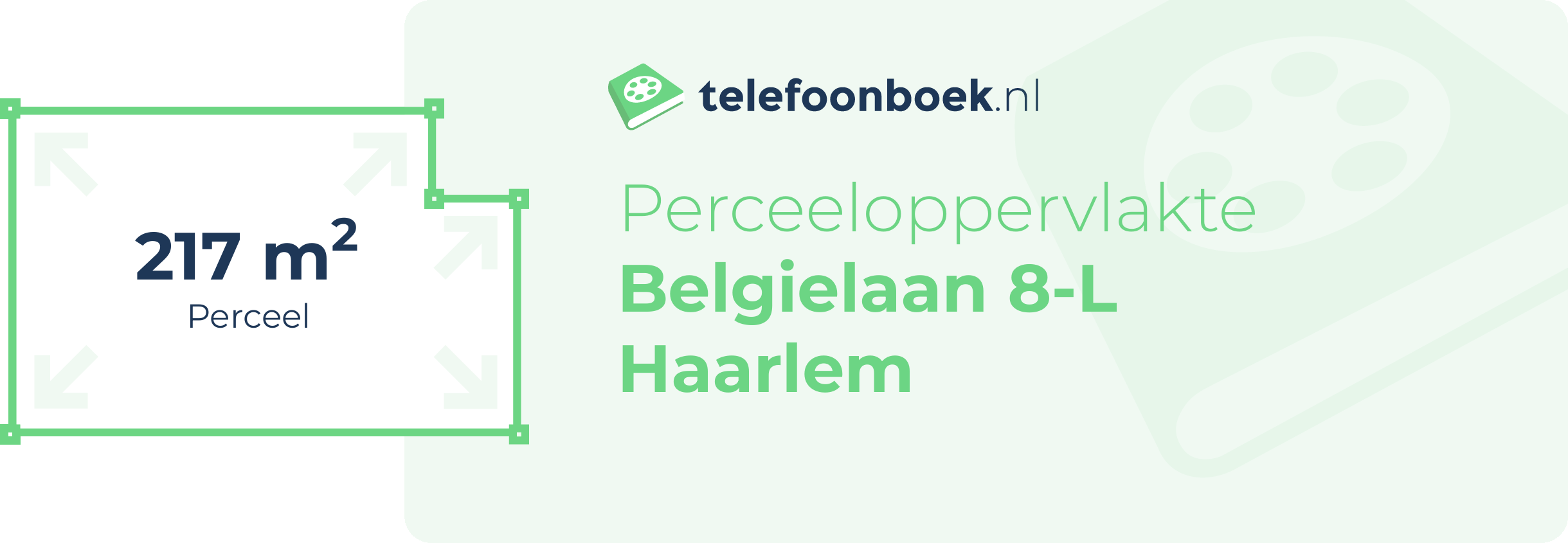 Perceeloppervlakte Belgielaan 8-L Haarlem