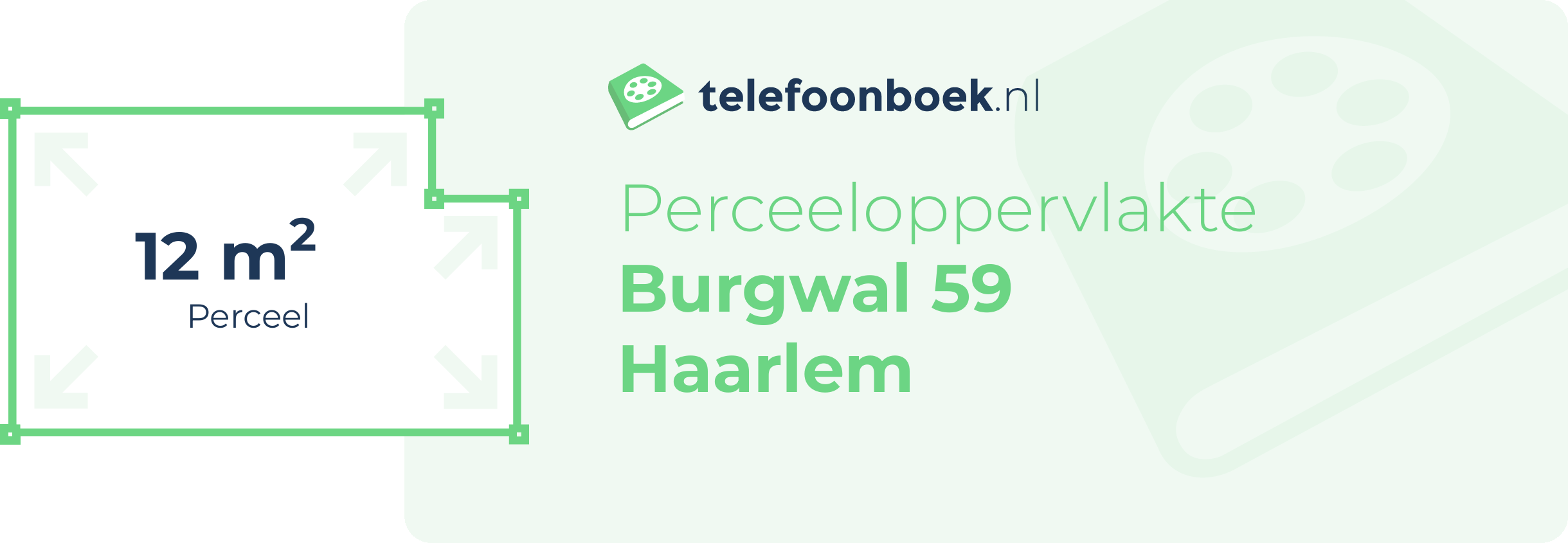 Perceeloppervlakte Burgwal 59 Haarlem
