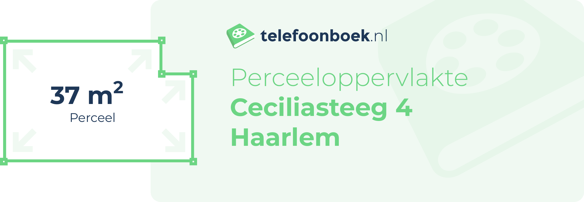 Perceeloppervlakte Ceciliasteeg 4 Haarlem