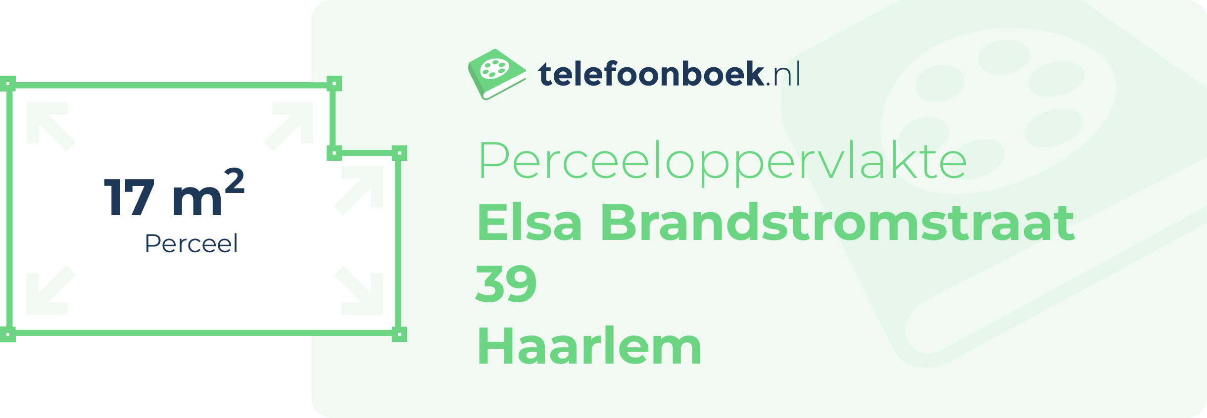 Perceeloppervlakte Elsa Brandstromstraat 39 Haarlem