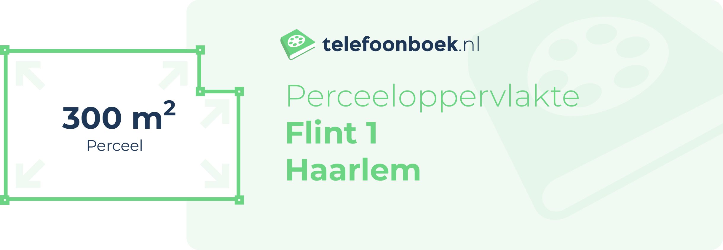 Perceeloppervlakte Flint 1 Haarlem