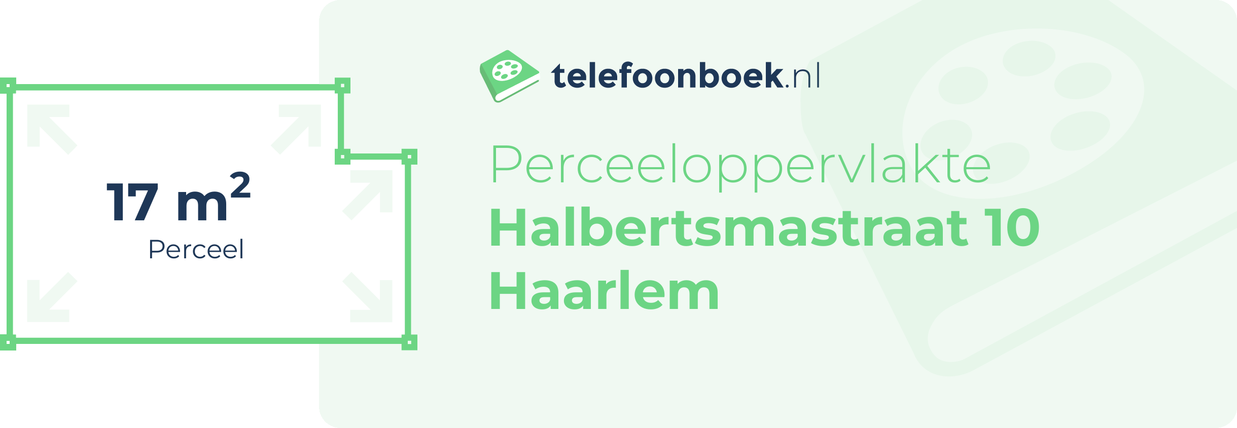 Perceeloppervlakte Halbertsmastraat 10 Haarlem