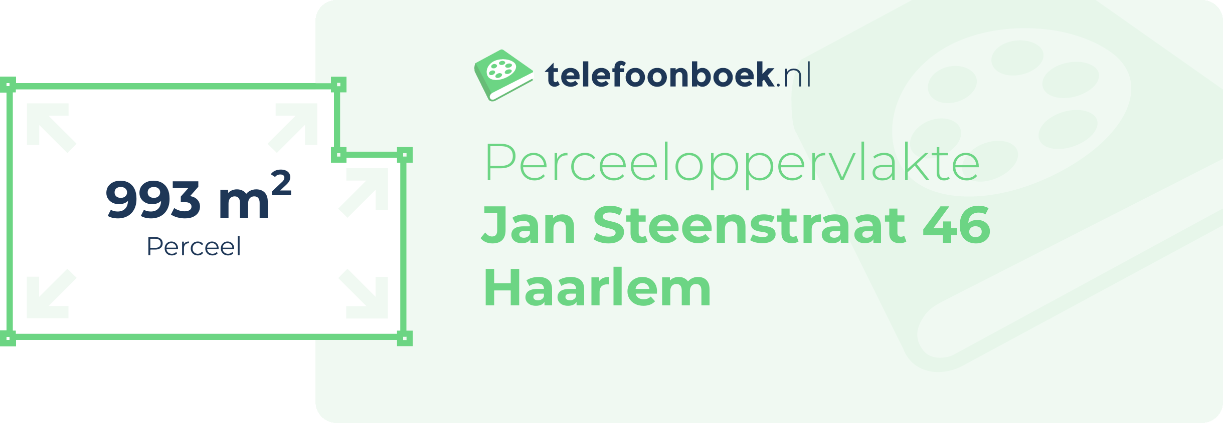 Perceeloppervlakte Jan Steenstraat 46 Haarlem