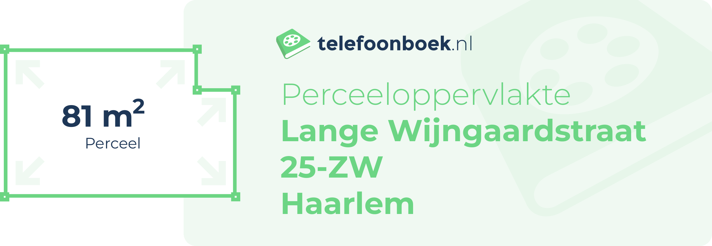 Perceeloppervlakte Lange Wijngaardstraat 25-ZW Haarlem