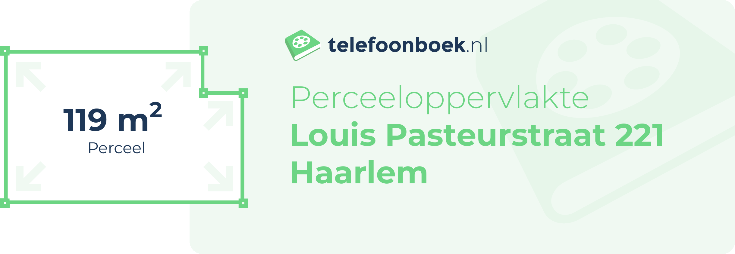 Perceeloppervlakte Louis Pasteurstraat 221 Haarlem
