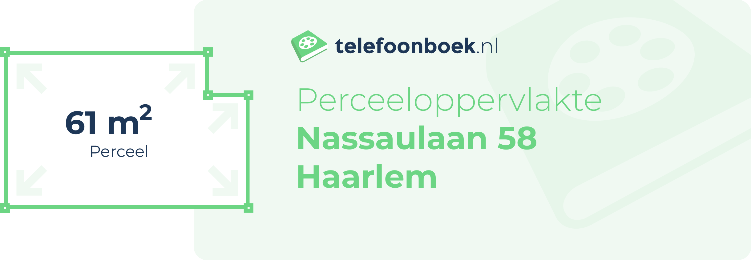 Perceeloppervlakte Nassaulaan 58 Haarlem