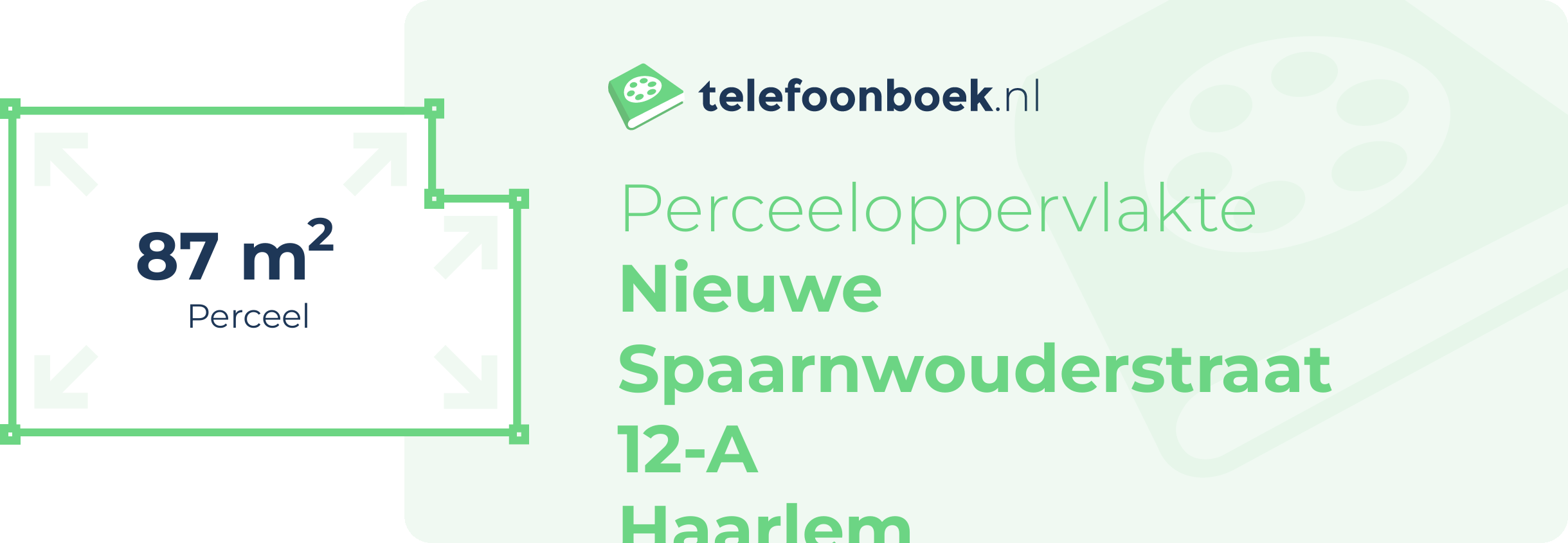Perceeloppervlakte Nieuwe Spaarnwouderstraat 12-A Haarlem