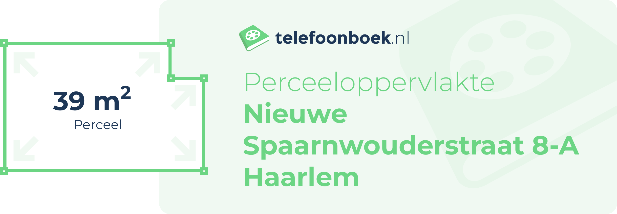 Perceeloppervlakte Nieuwe Spaarnwouderstraat 8-A Haarlem
