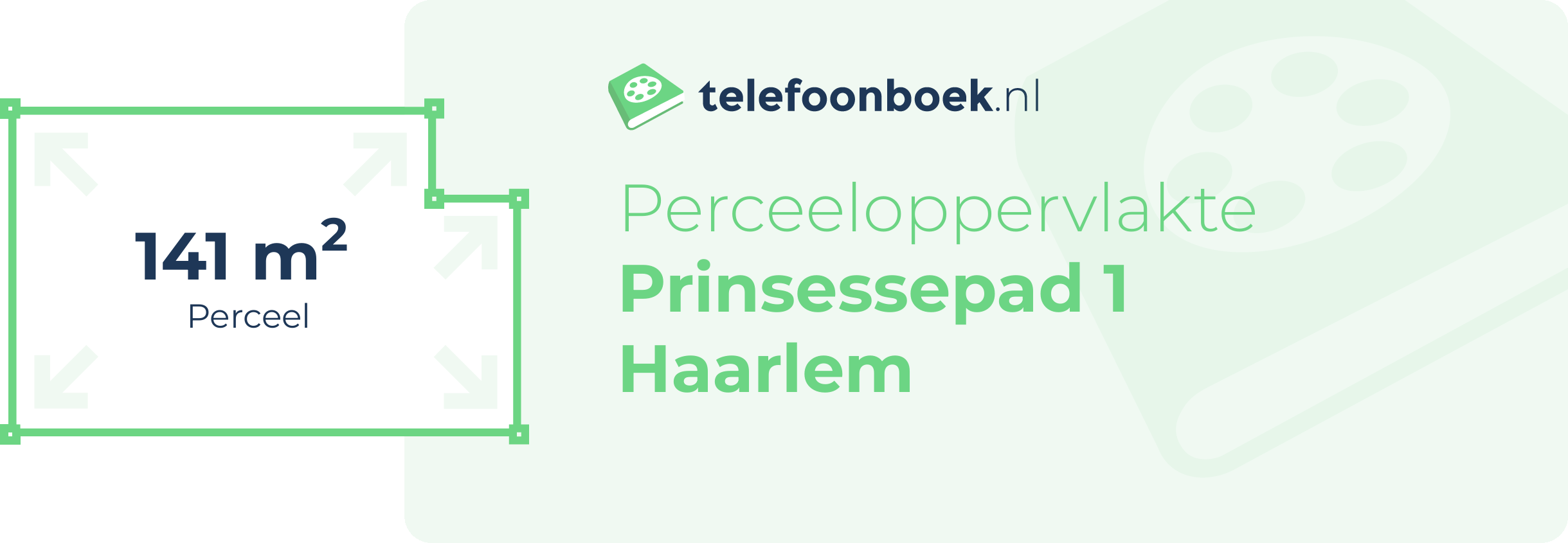 Perceeloppervlakte Prinsessepad 1 Haarlem