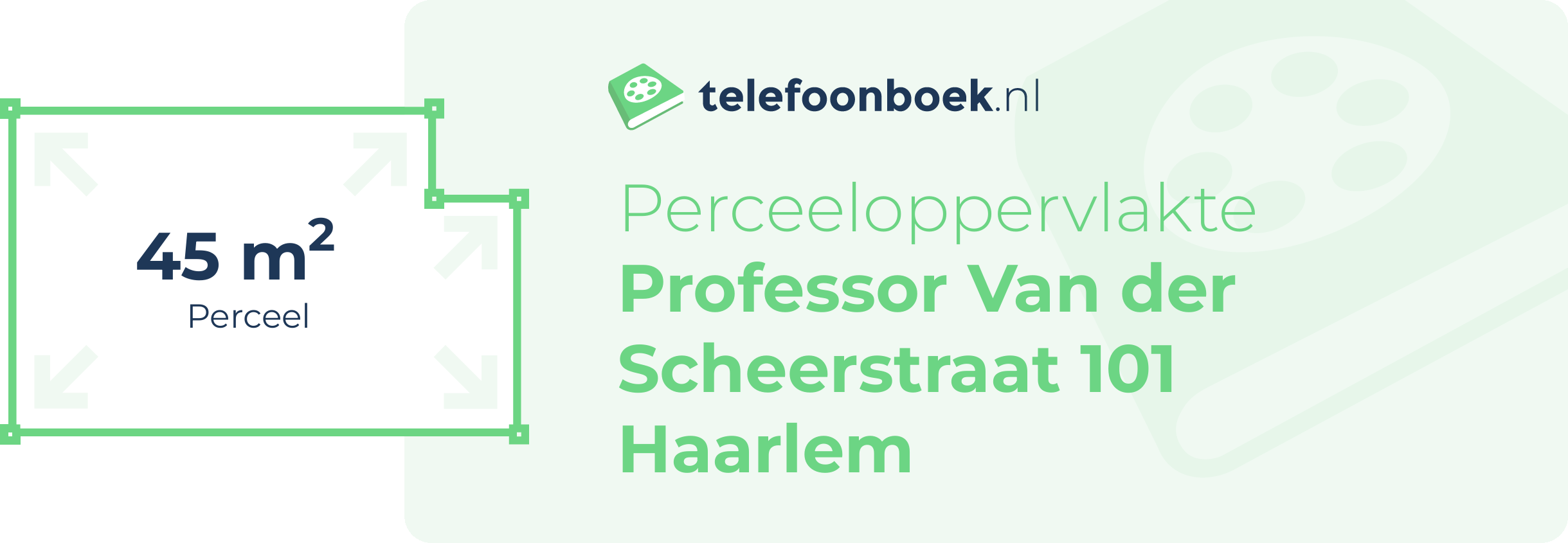 Perceeloppervlakte Professor Van Der Scheerstraat 101 Haarlem