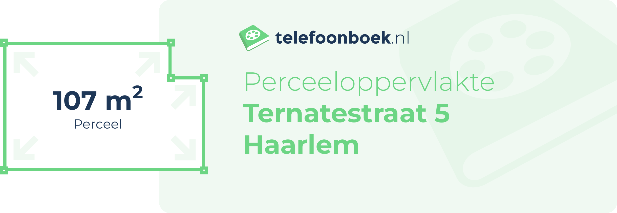 Perceeloppervlakte Ternatestraat 5 Haarlem