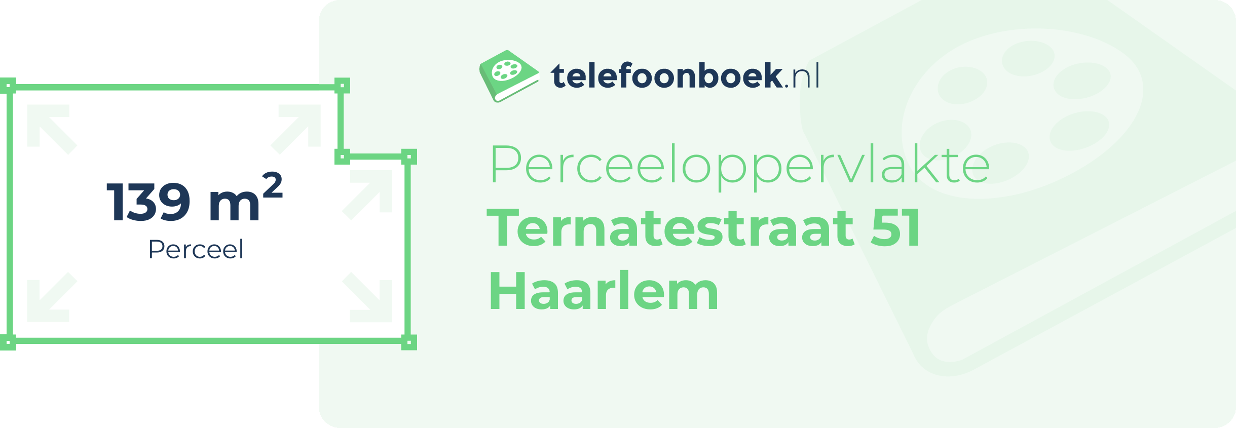 Perceeloppervlakte Ternatestraat 51 Haarlem