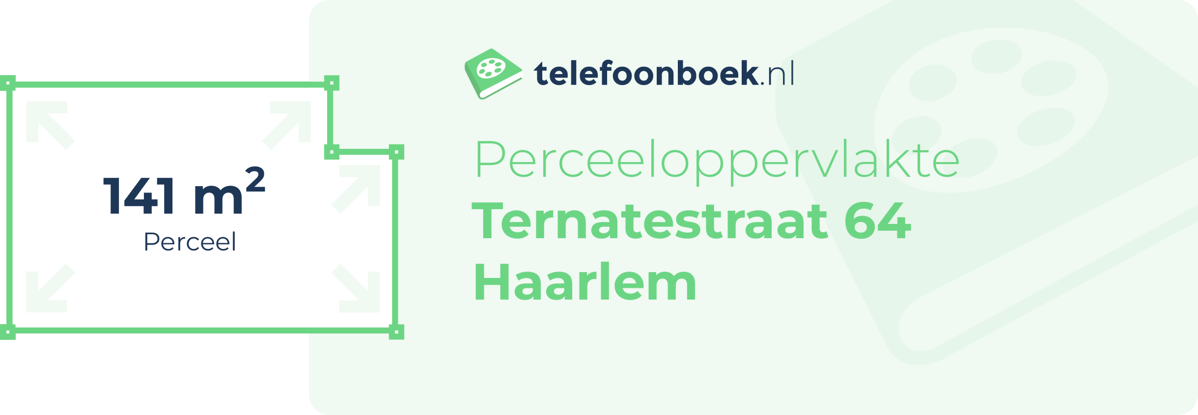 Perceeloppervlakte Ternatestraat 64 Haarlem