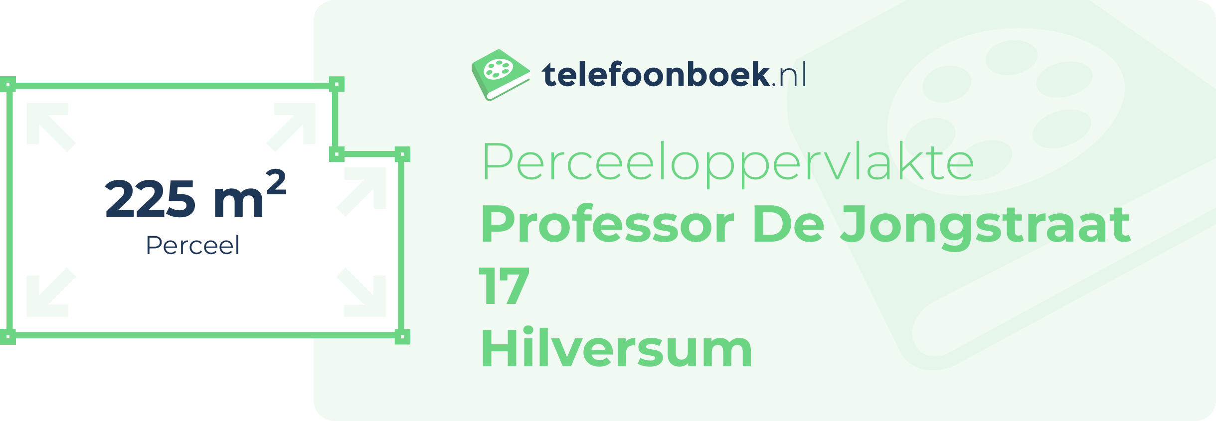 Perceeloppervlakte Professor De Jongstraat 17 Hilversum