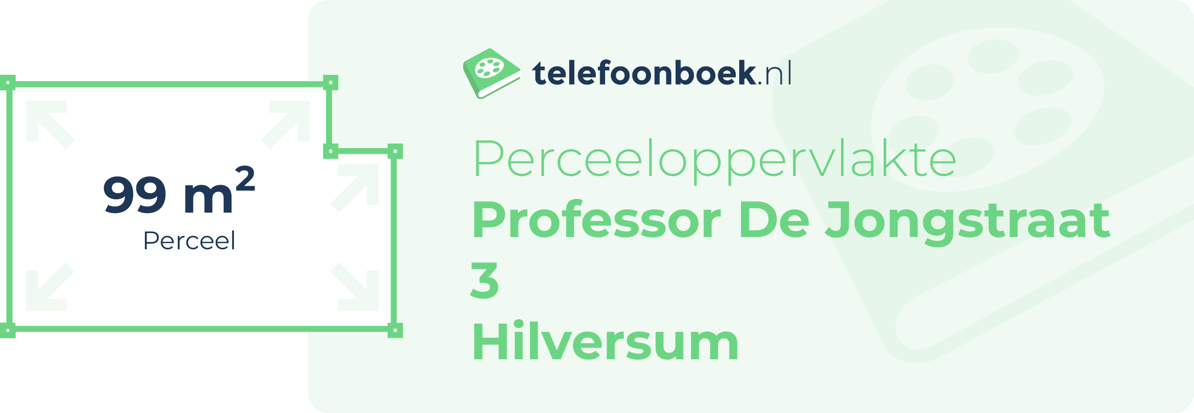 Perceeloppervlakte Professor De Jongstraat 3 Hilversum