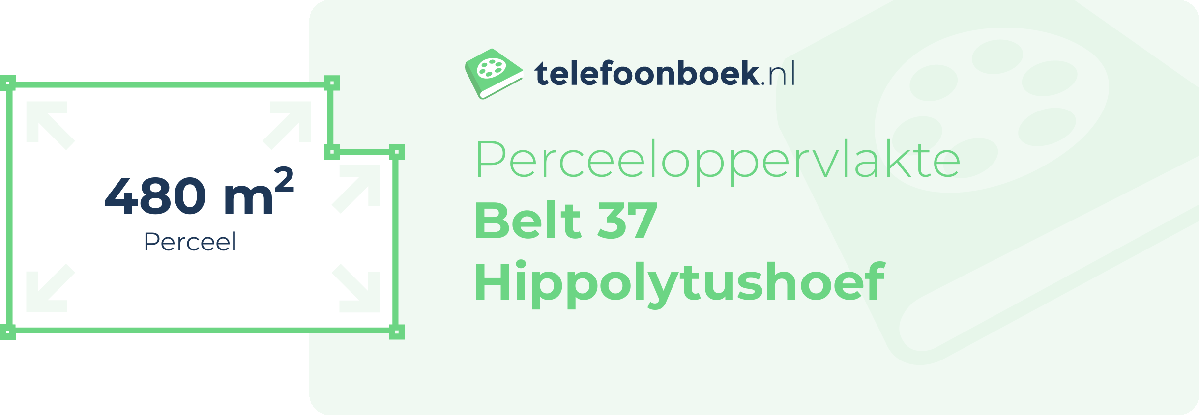 Perceeloppervlakte Belt 37 Hippolytushoef